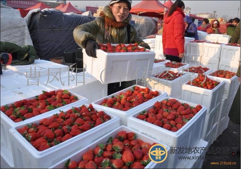 水果批发市场价格表