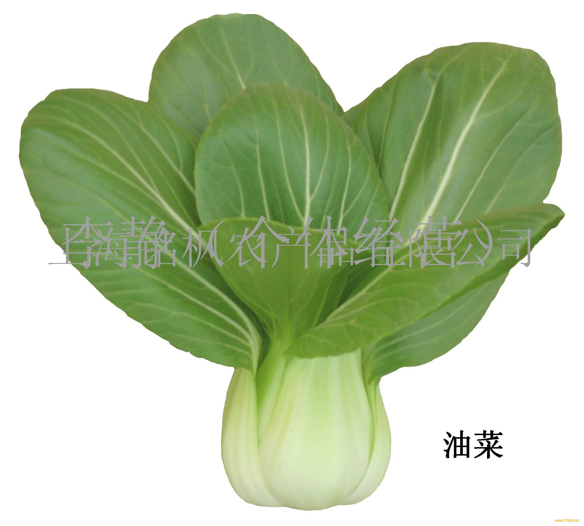 上海蔬菜价格