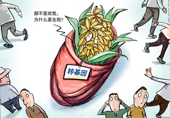 农业部拟推转基因产业化 中国为何钟情转基因