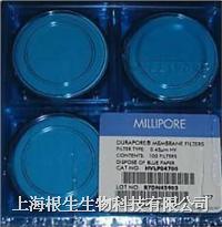 Millipore有机过滤膜HVLP04700 PVDF 47mm