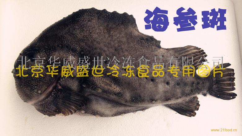 海参斑(浪浦斯鱼)属于圆鳍鱼科海鱼。肉食性鱼类,体短粗,产于北极和北大西洋两岸的冰山区域。生活在海底200米深处,没有任何污染,自然环境保持原生态。海参斑纯系自然野生,属稀有的深海冷水鱼种。鱼肉色雪白,甘香肥美,口感滑嫩,鱼骨软,含钙量高,鱼皮软硬适中,宛若海参。海参斑含有丰富的不饱和脂肪酸OMEGA-3可以降低胆固醇,有助于防止癌症,溃疡性结肠炎及关节炎,是深海鱼油主要原料。我公司首次将海参斑成功引进中国市场,现该产品已成为进口优质海产品最受欢迎的品种之一